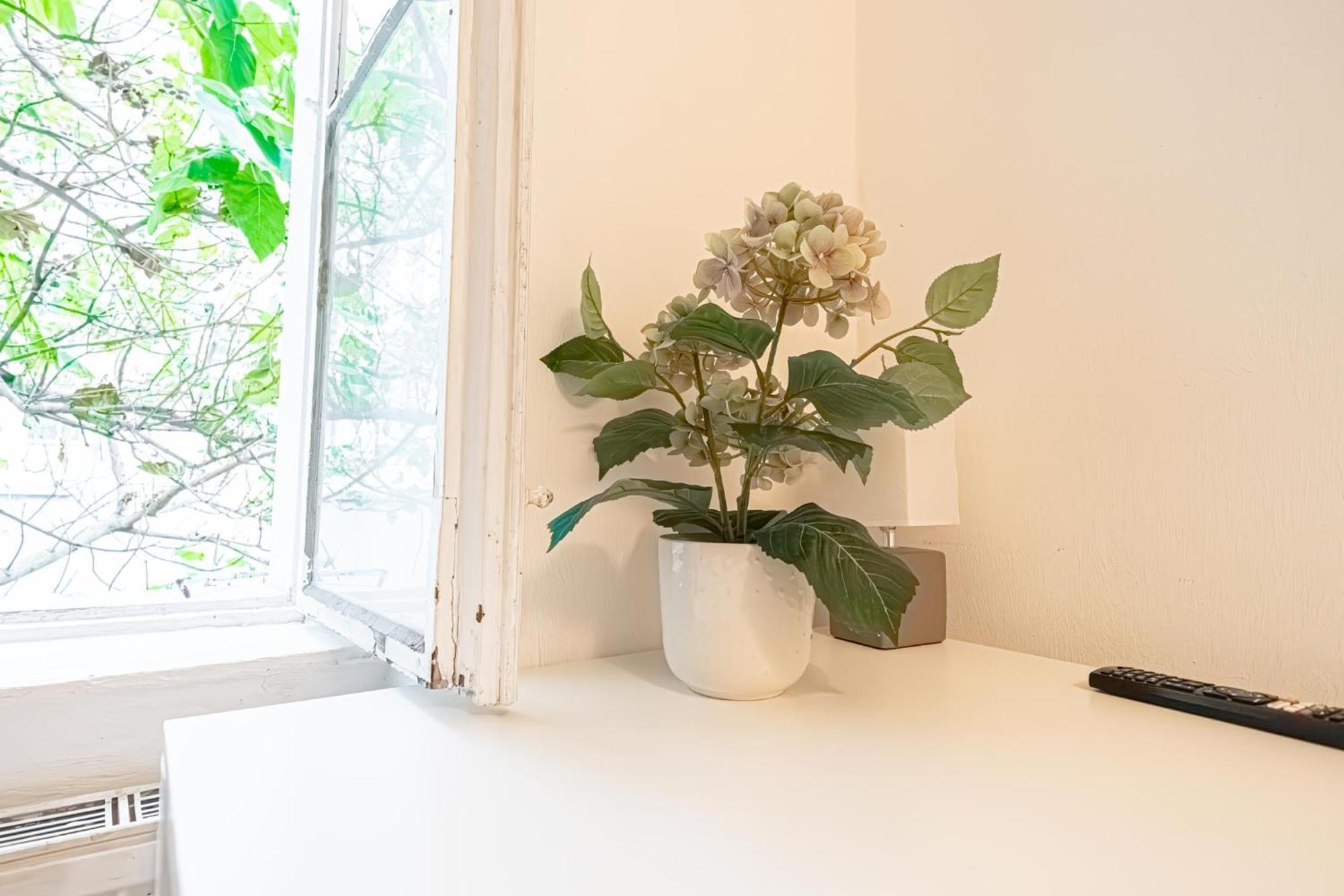 Central Belvedere 3Br Shared Apartment - 12 Min From City Center Bécs Kültér fotó